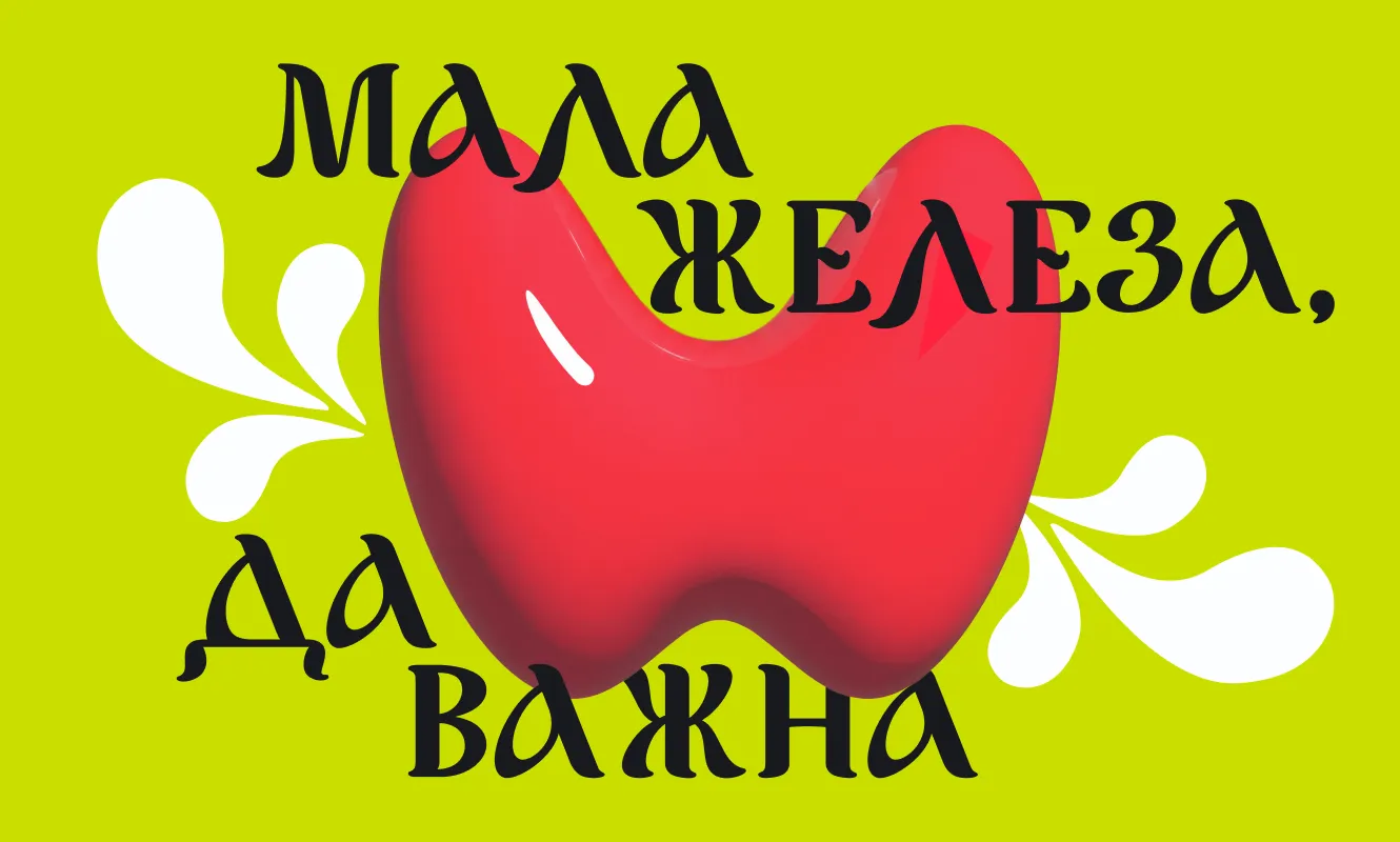 Мала железа, да важна! Комплексы для оценки функции щитовидной железы и энергообмена по специальной цене